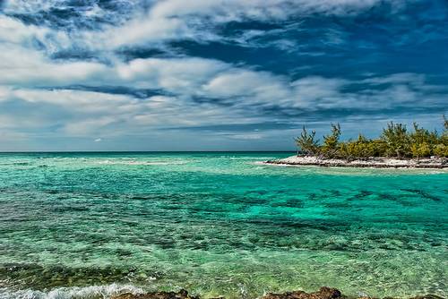 Bahamas Vents de Mer